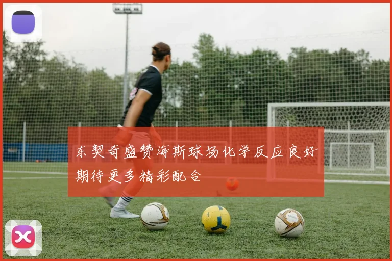 东契奇盛赞海斯球场化学反应良好期待更多精彩配合