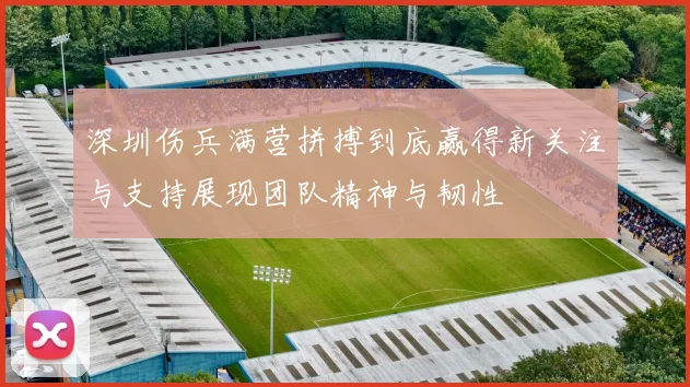 深圳伤兵满营拼搏到底赢得新关注与支持展现团队精神与韧性