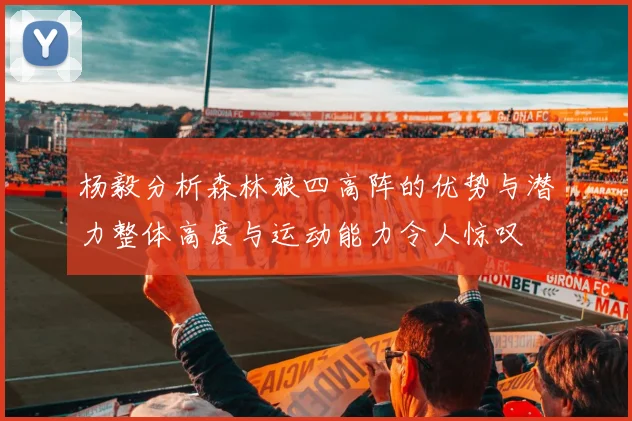杨毅分析森林狼四高阵的优势与潜力整体高度与运动能力令人惊叹