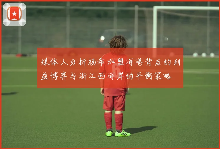 媒体人分析杨希加盟海港背后的利益博弈与浙江西海岸的平衡策略