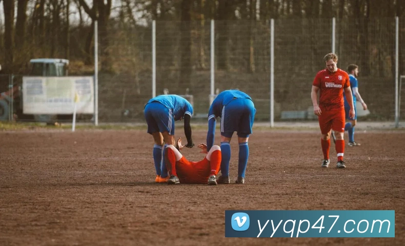 永盈棋牌平台生态图